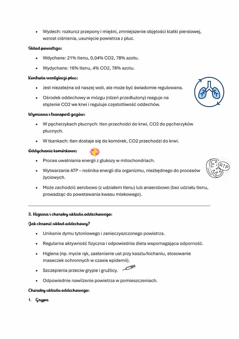 # UKŁAD ODDECHOWY-NOTATKA PODSUMOWUJĄCA

1. Budowa i rola układu oddechowego:

Drogi oddechowe:

- Nos i jama nosowa - nawilża, oczyszcza i 