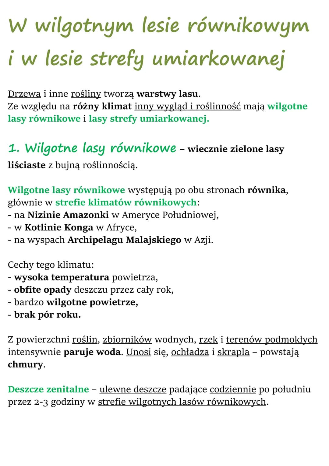 W wilgotnym lesie równikowym
i w lesie strefy umiarkowanej
Drzewa i inne rośliny tworzą warstwy lasu.
Ze względu na różny klimat inny wygląd