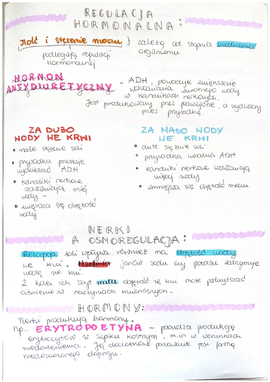 układ wydolniczy,
BUDOWA I FUNKCJONOWANIE
UKŁADU MOCZOWEGO
Metaboliczny ruch!
K
FUNKCJE:
▷ uydalanie - usuwanie zbędnych i schodlnych
produk