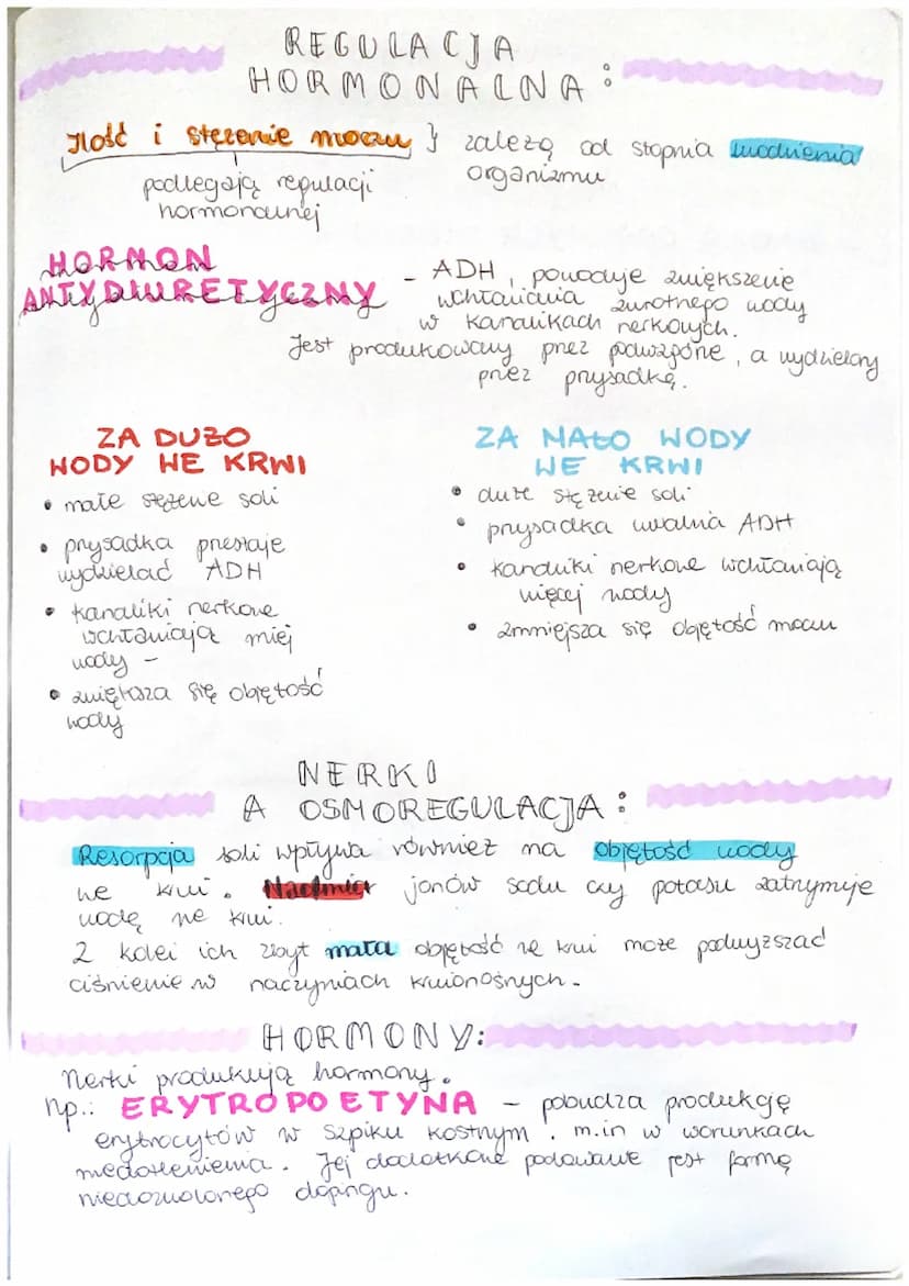 układ wydolniczy,
BUDOWA I FUNKCJONOWANIE
UKŁADU MOCZOWEGO
Metaboliczny ruch!
K
FUNKCJE:
▷ uydalanie - usuwanie zbędnych i schodlnych
produk
