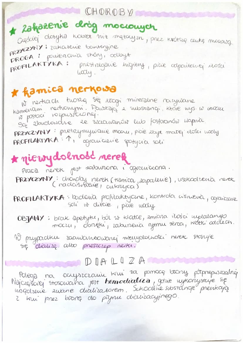 układ wydolniczy,
BUDOWA I FUNKCJONOWANIE
UKŁADU MOCZOWEGO
Metaboliczny ruch!
K
FUNKCJE:
▷ uydalanie - usuwanie zbędnych i schodlnych
produk