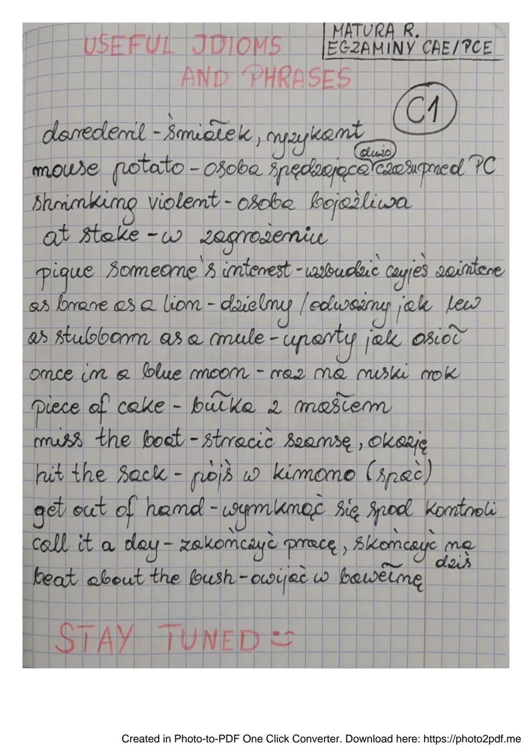 USEFUL IDIOMS
MATURA R.
EGZAMINY CAE/PCE
AND PHRASES
(C1
daredevil - Smiałek, njzykant
mouse potato - osoba spędzająca czarupmed PC
shrinkin