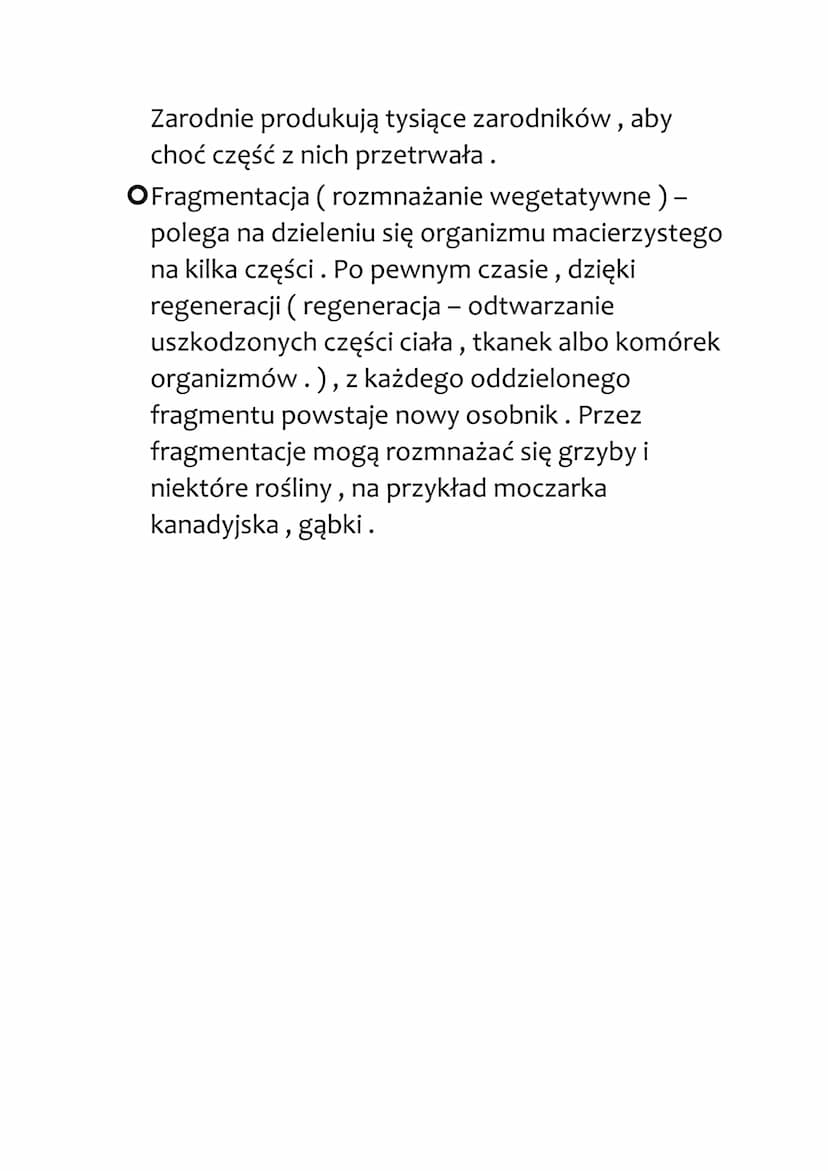 Rozmnażanie bezpłciowe
Opodział komórki - rozpoczyna się od podziału
jądra komórkowego, .Pomiędzy dwoma nowymi
jądrami zaczyna tworzyć się b