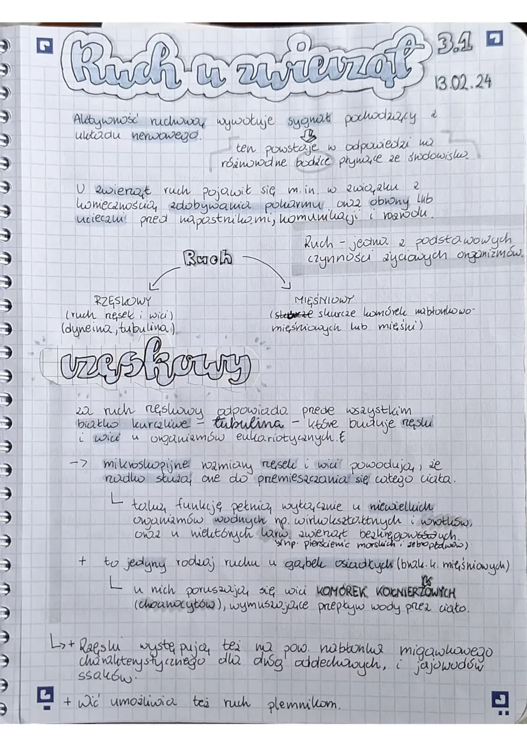 RUCH U ZWIERZĄT 