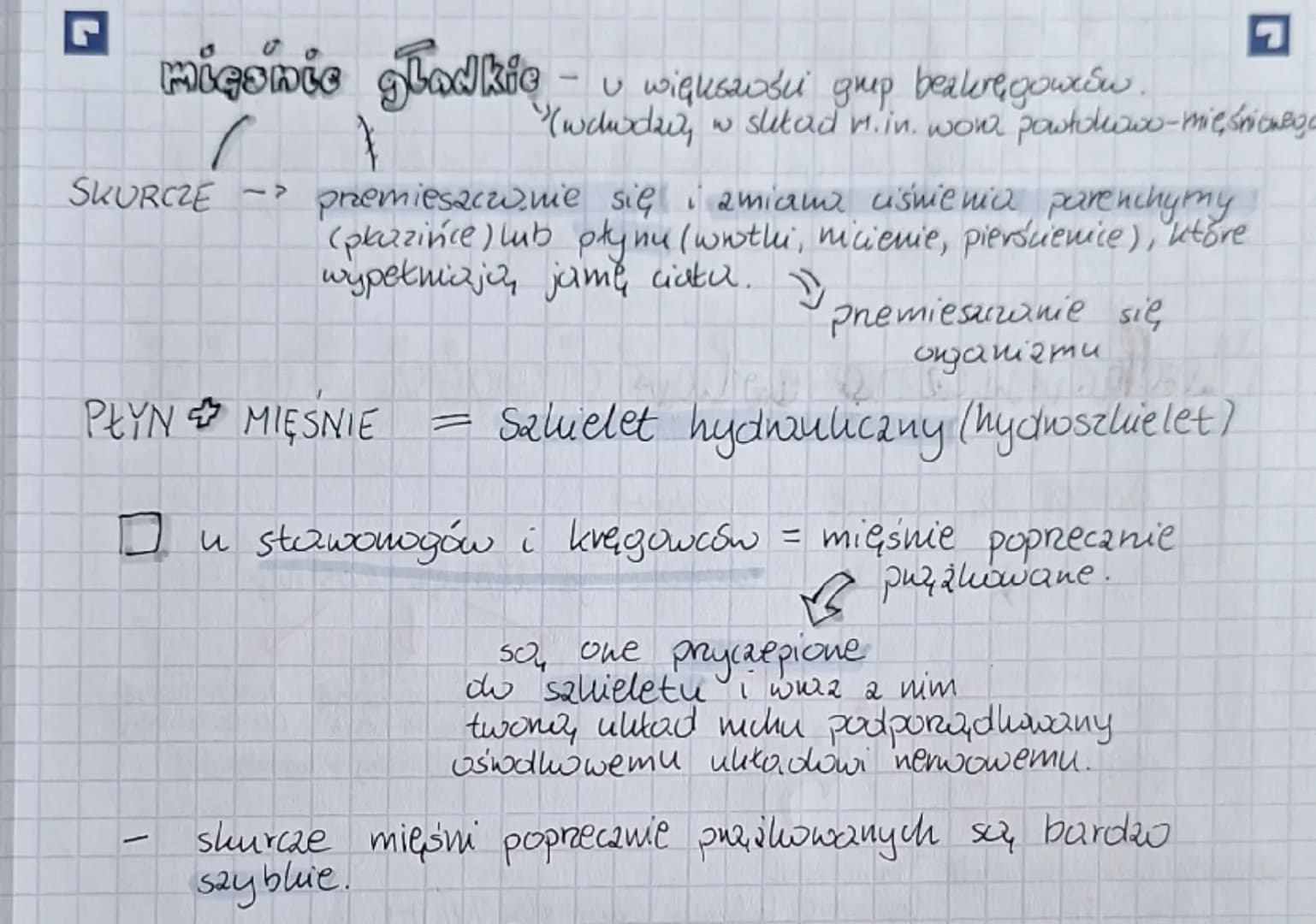 3.1
Rich in micozójt 8.02.24
zw
Aktywność ruchway wywołuje sygnał pochodzący a
układu nerwowego.
B
ten powstaje w odpowiedzi m
róanowane bod