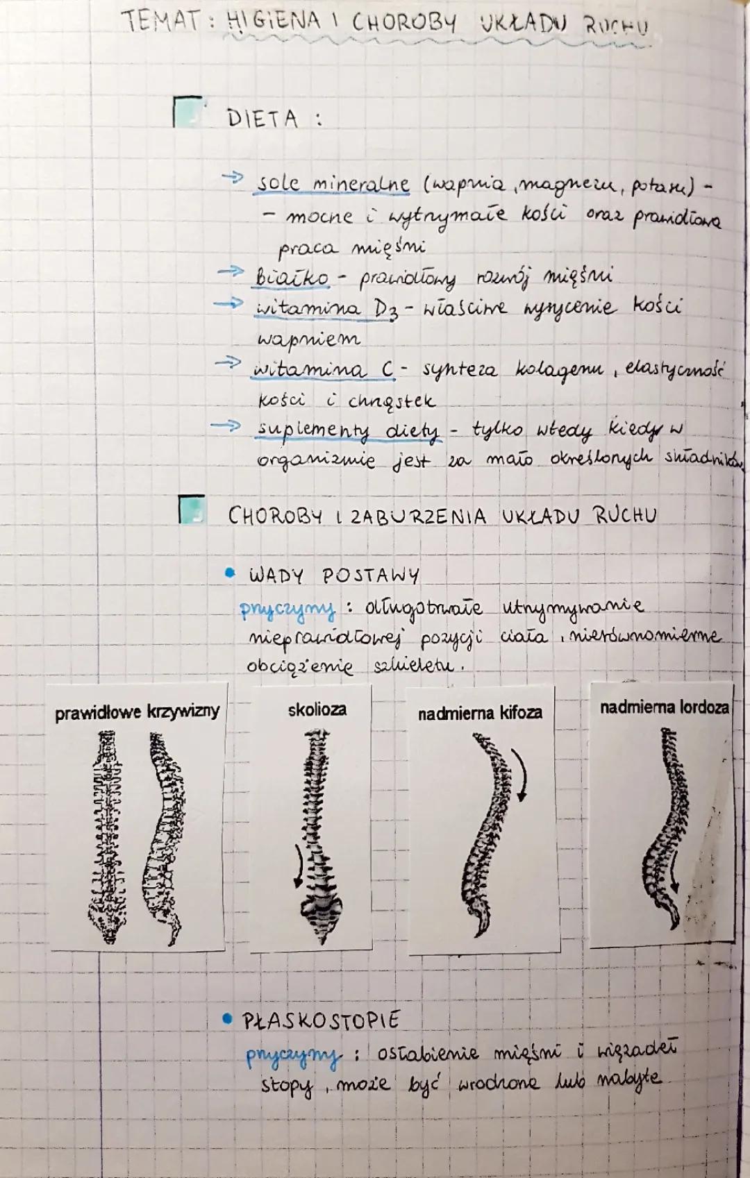 Higiena i Choroby Układu Ruchu - Notatka i Prezentacja dla 2 Klasy