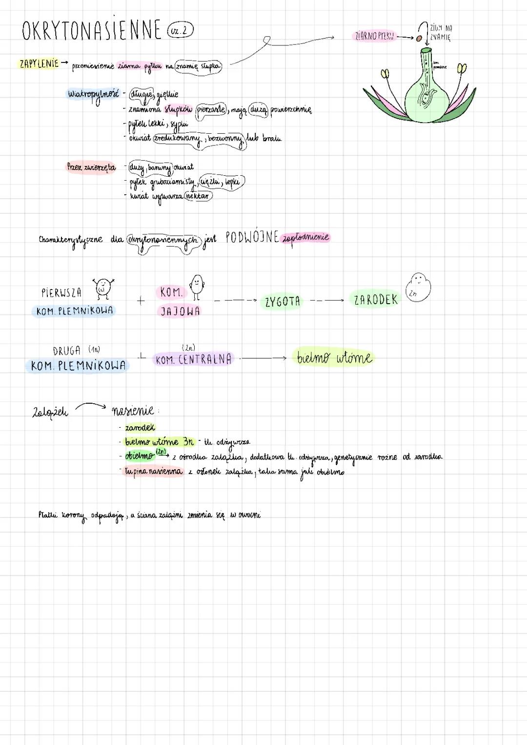 Rośliny okrytonasienne: Wprowadzenie i charakterystyka