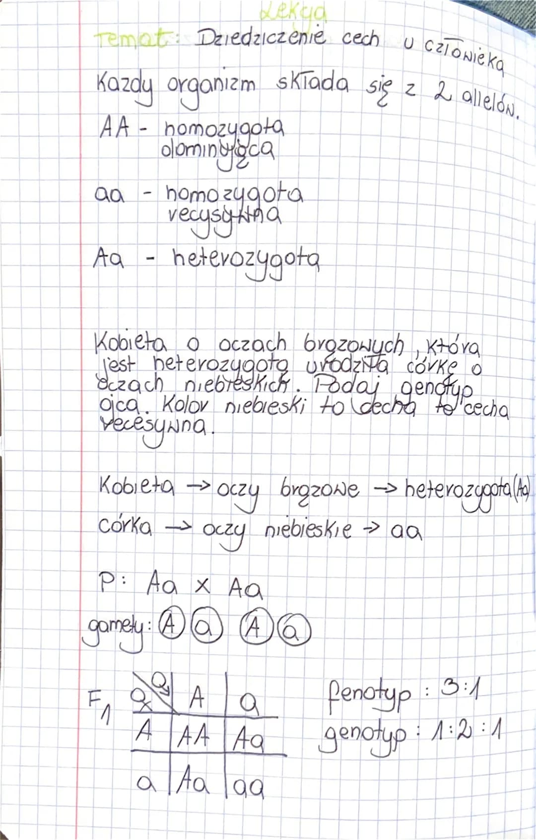Dziedziczenie cech u człowieka - zagadki genetyczne i krzyżówki dla klasy 8