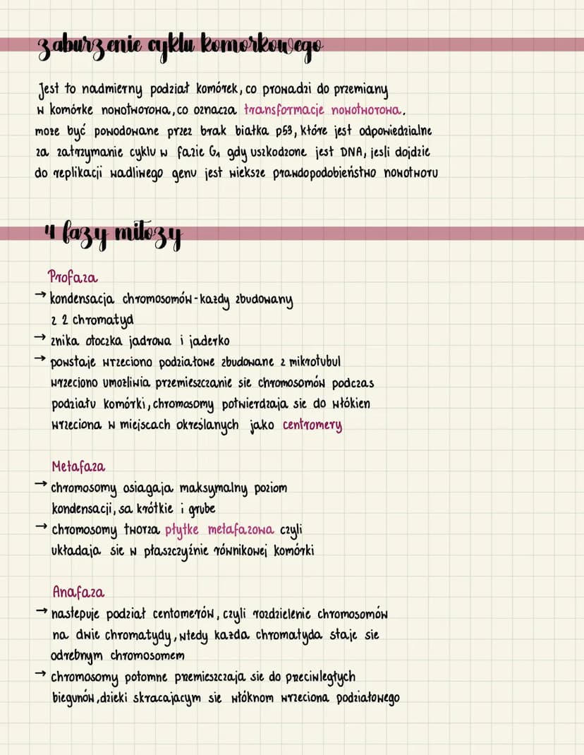 mitoza
cykl zyciowy komorki cukariotycznej
→ interfaza - stan miedzy podziałami podczas którego
komórka zwieksza swoje rozmiary powiela orga