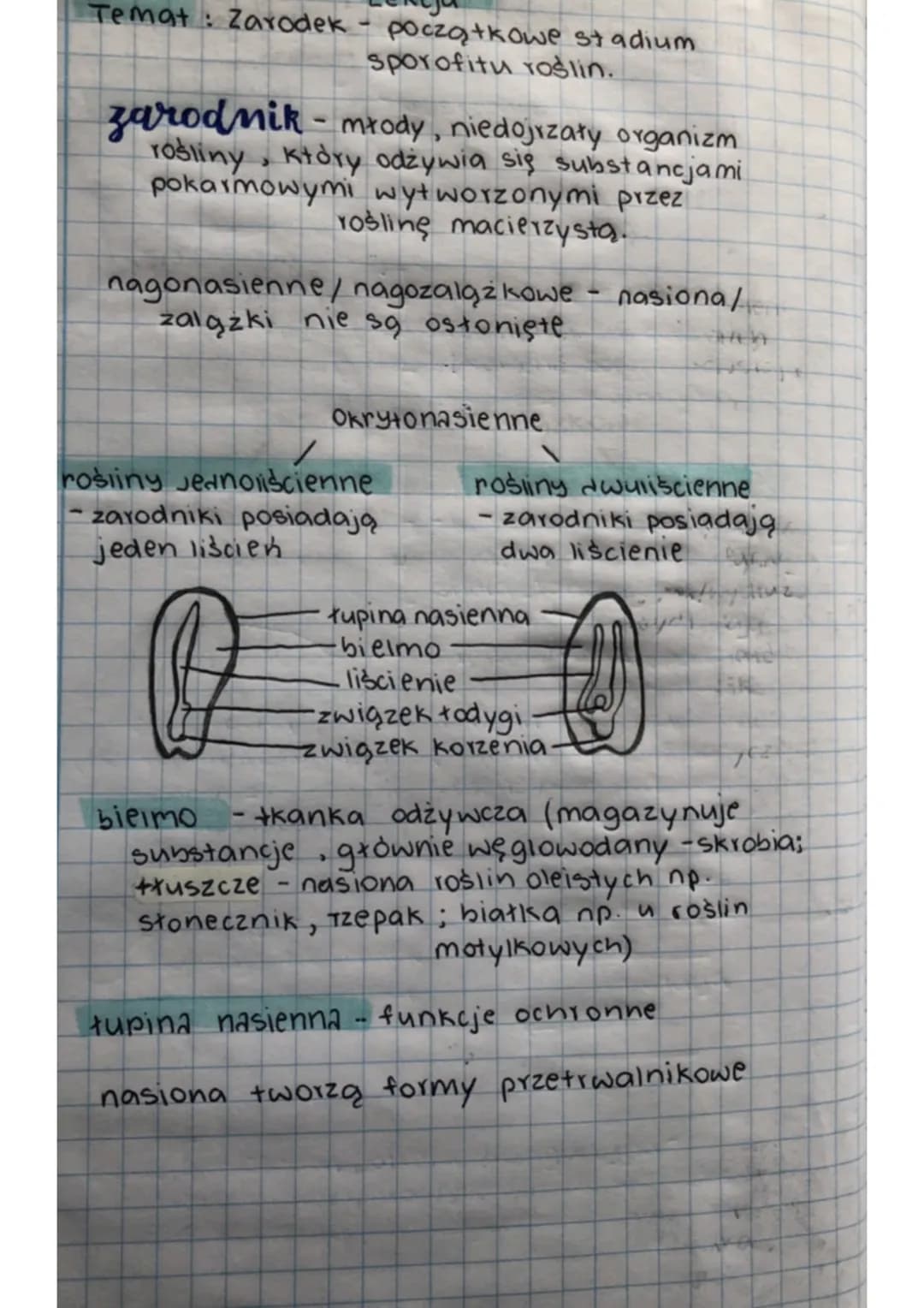 Temat : Zarodek - początkowe stadium
sporofitu roślin.
zarodnik - młody, niedojrzały organizm
rośliny, który odżywia się substancjami
pokarm