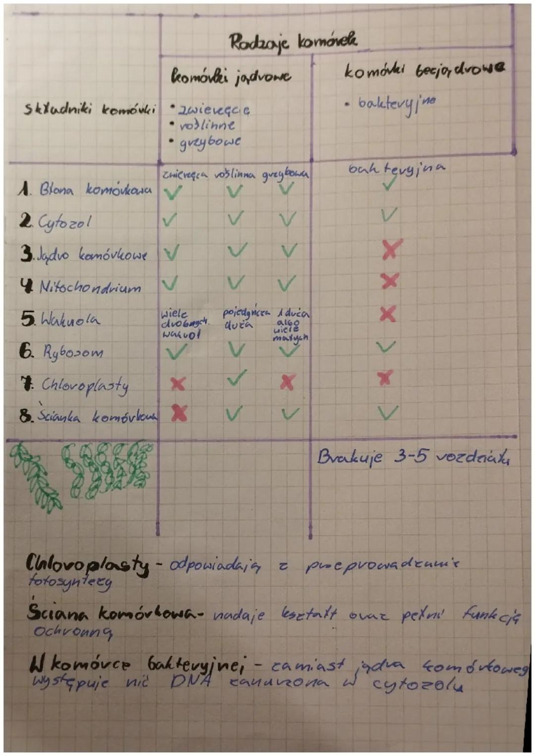 # biologia

WCechy organizmówn

- budowa komárkowa - wszystkie organizmy niezależnie
od vozmiarów ciała, są zbudowane z podstawowyen
element