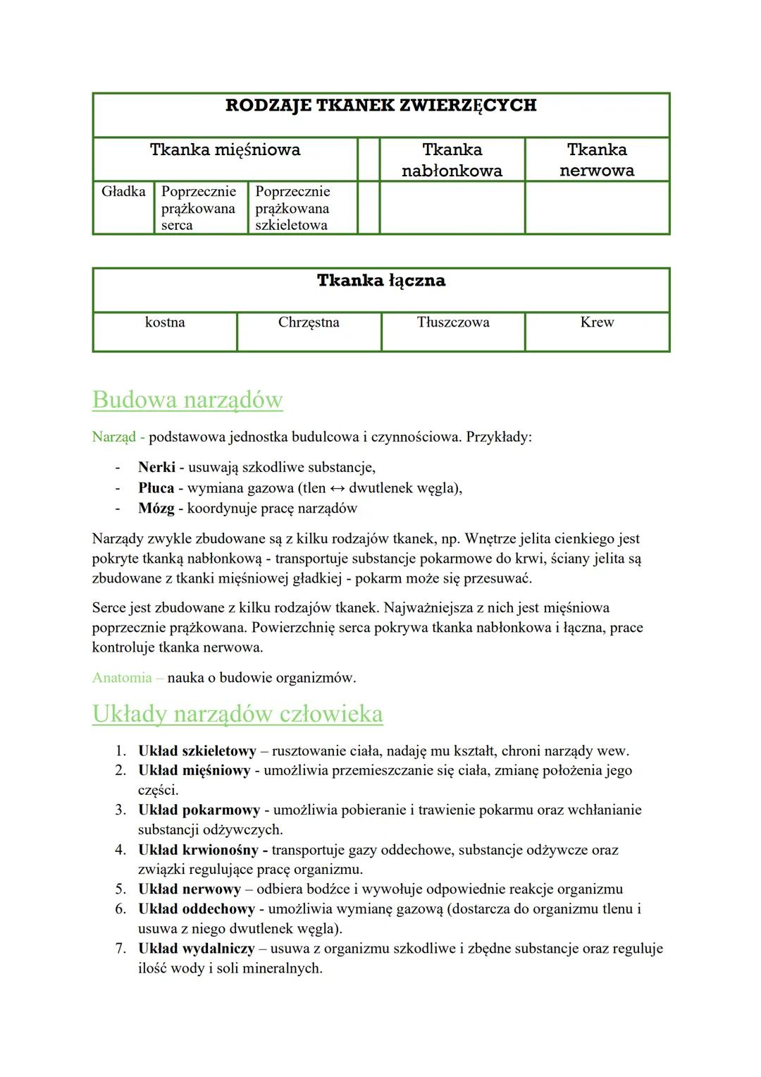 BIOLOGIA
Organizm człowieka jako funkcjonalna całość
Hierarchiczna budowa ciała człowieka
Komórka
Tkanka
Narząd
Układ
Organizm
Mają podobne

