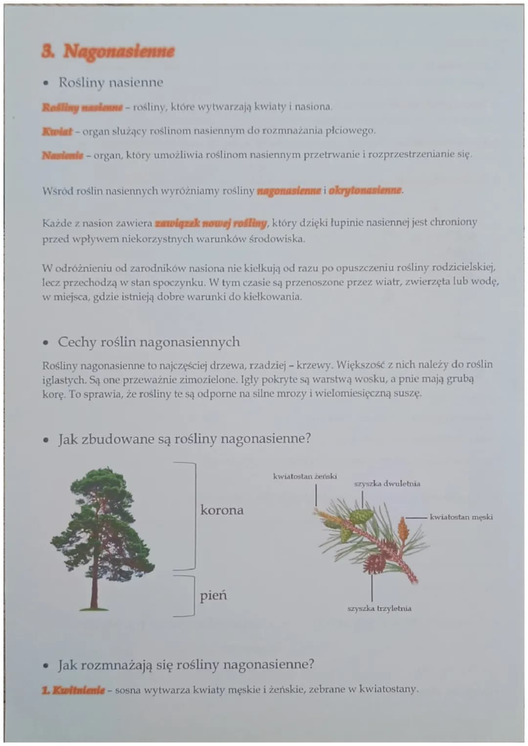 3. Nagonasienne
•
Rośliny nasienne
Rośliny nasienne - rośliny, które wytwarzają kwiaty i nasiona.
Kwiat-organ służący roślinom nasiennym do 