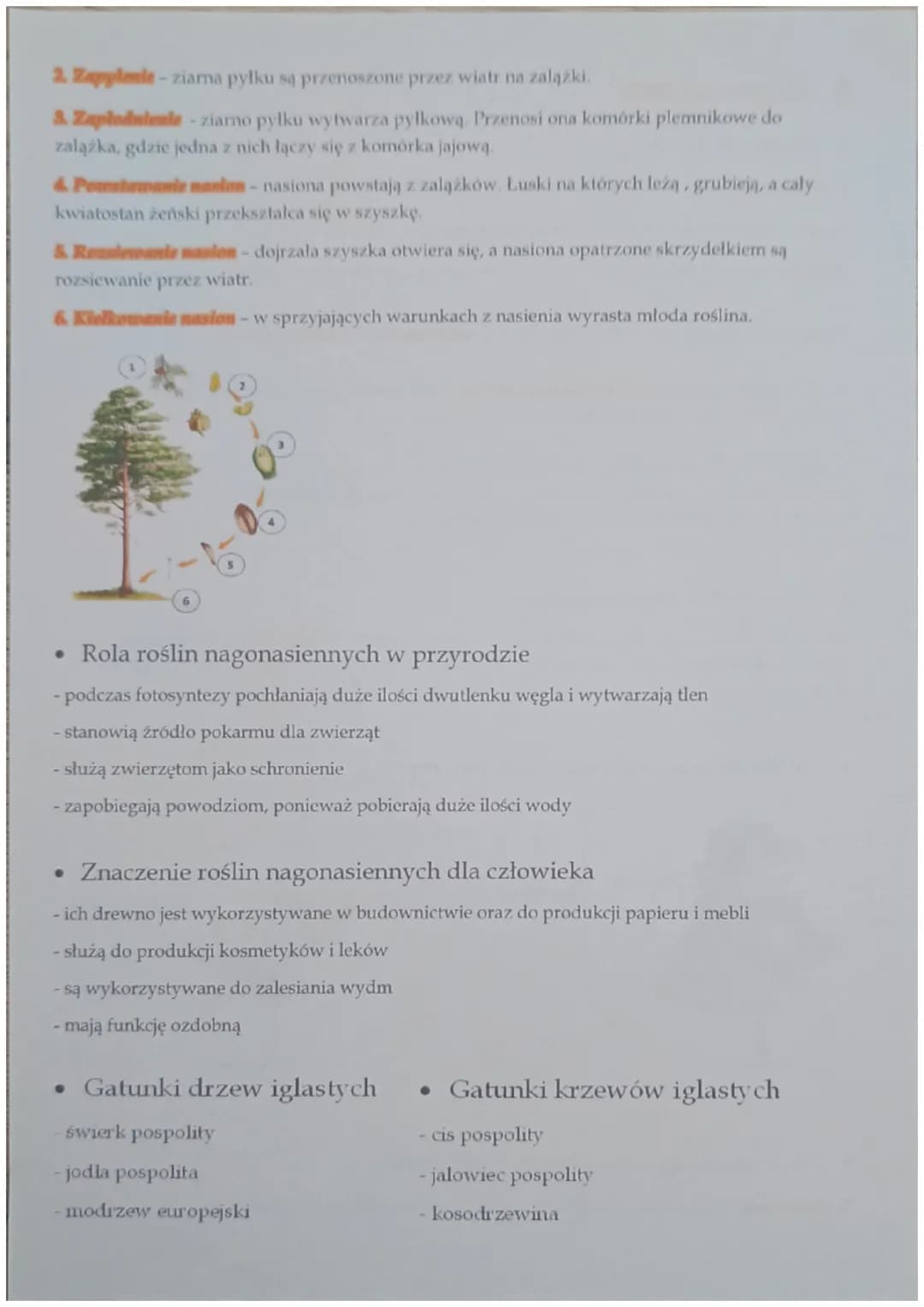 3. Nagonasienne
•
Rośliny nasienne
Rośliny nasienne - rośliny, które wytwarzają kwiaty i nasiona.
Kwiat-organ służący roślinom nasiennym do 