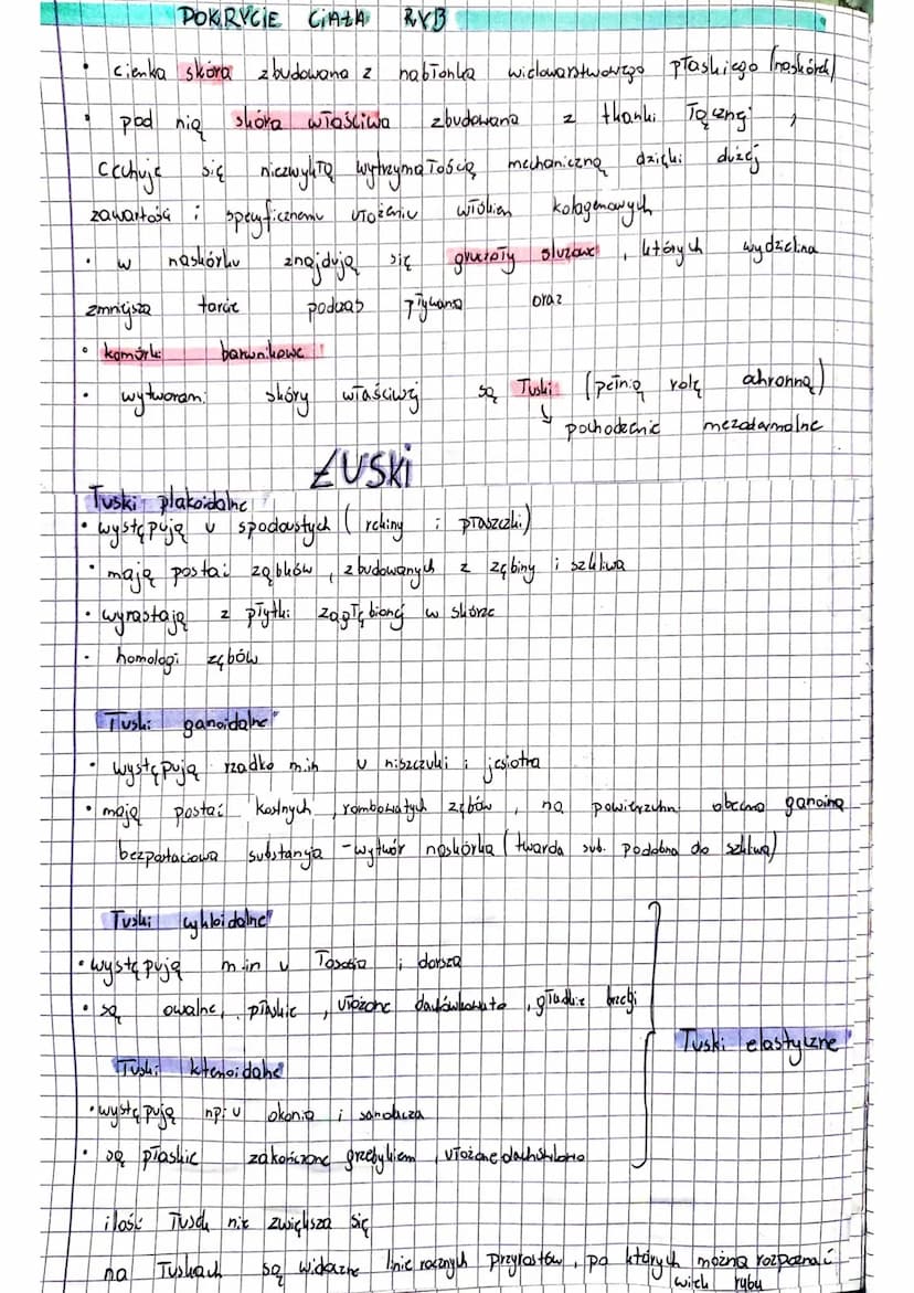 ·
RYBY żuchwowce pierwotne washe
Ryby (Pisces) so kregowcom: Pierwotnie.
zarówno
wody
Dotrafia przetrwa. Przez
Ryby
od
•żuchwowce
należą do 