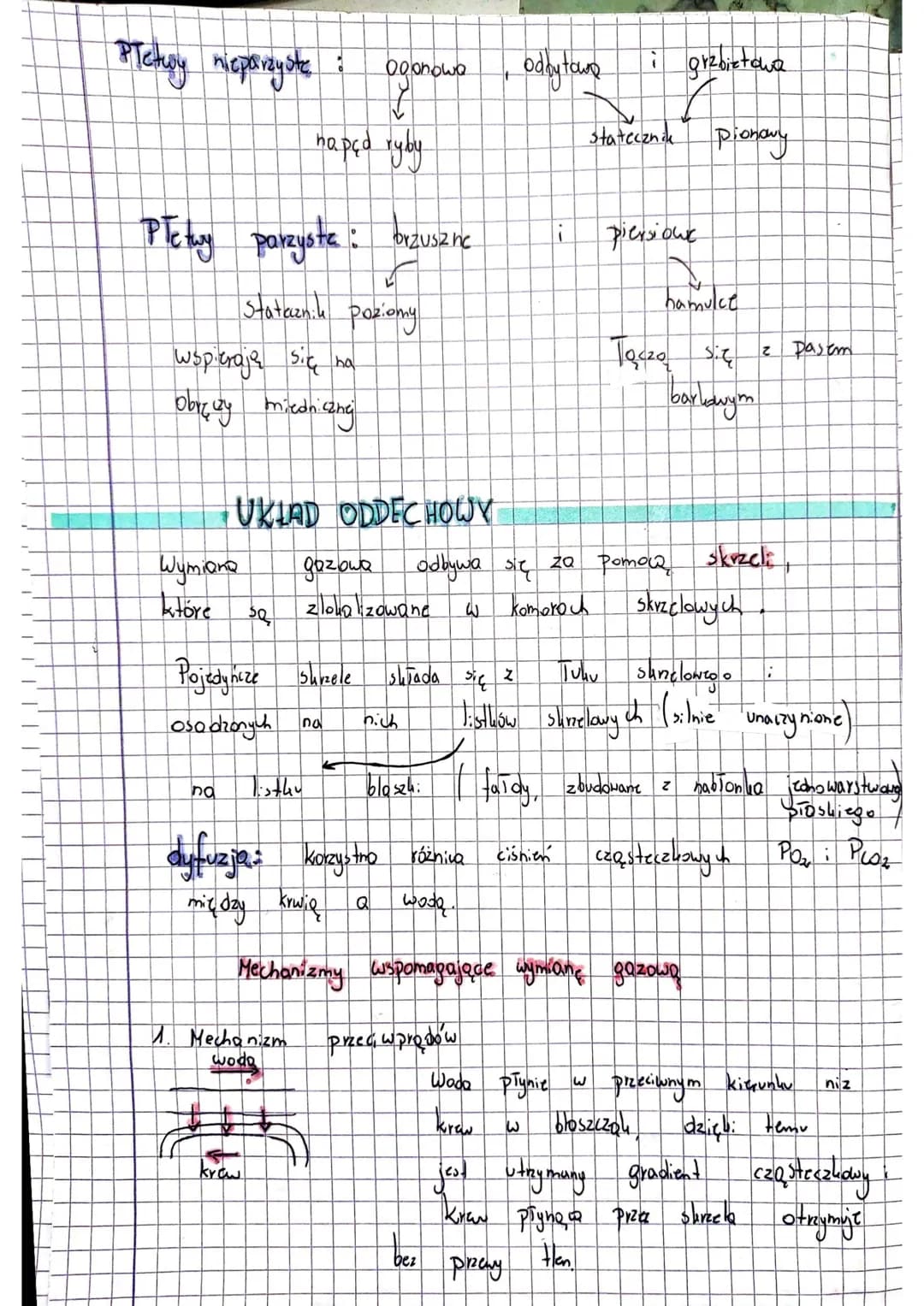 ·
RYBY żuchwowce pierwotne washe
Ryby (Pisces) so kregowcom: Pierwotnie.
zarówno
wody
Dotrafia przetrwa. Przez
Ryby
od
•żuchwowce
należą do 