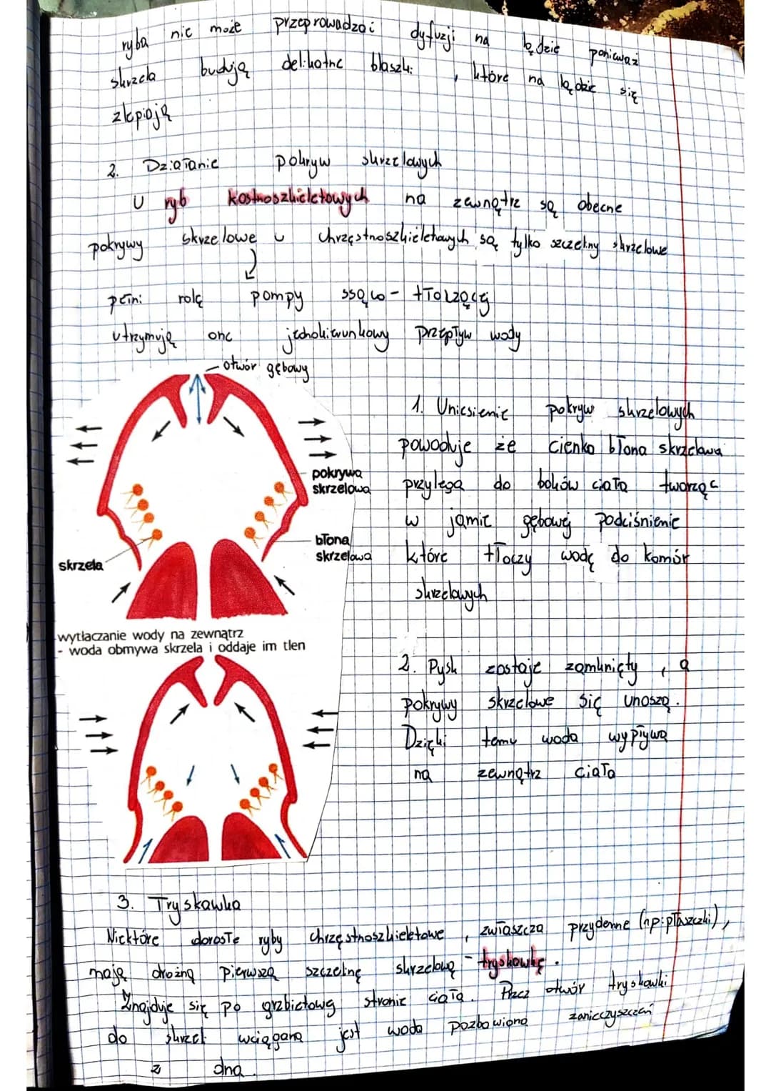 ·
RYBY żuchwowce pierwotne washe
Ryby (Pisces) so kregowcom: Pierwotnie.
zarówno
wody
Dotrafia przetrwa. Przez
Ryby
od
•żuchwowce
należą do 