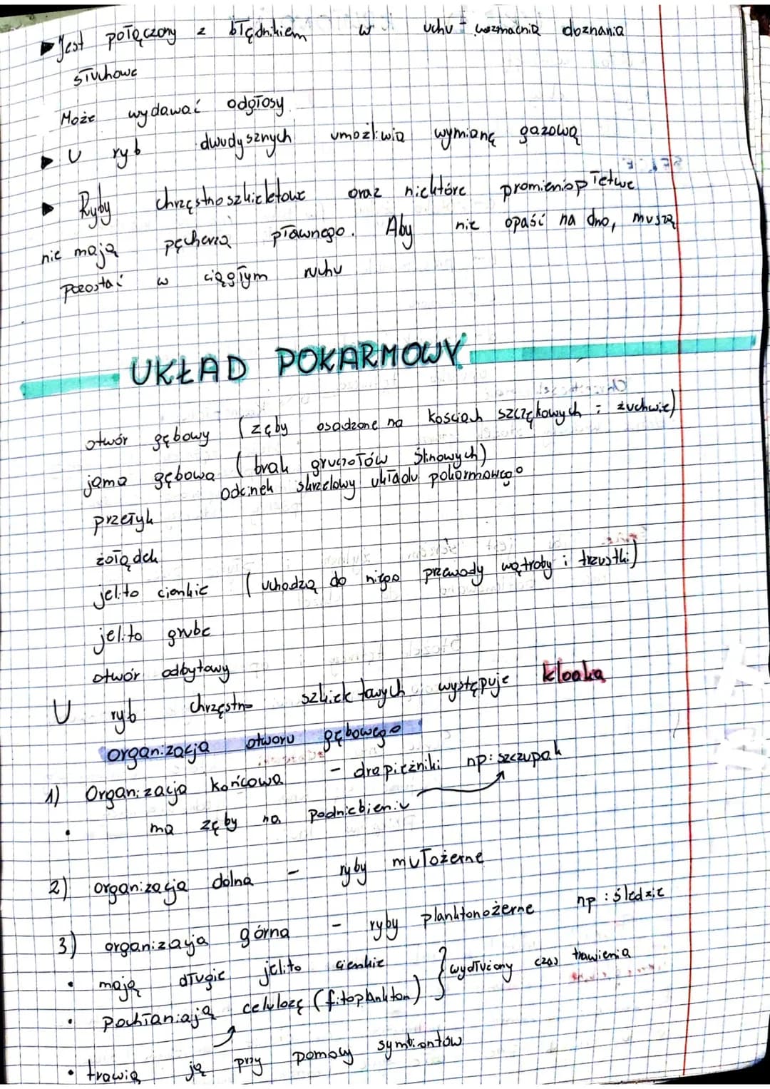 ·
RYBY żuchwowce pierwotne washe
Ryby (Pisces) so kregowcom: Pierwotnie.
zarówno
wody
Dotrafia przetrwa. Przez
Ryby
od
•żuchwowce
należą do 