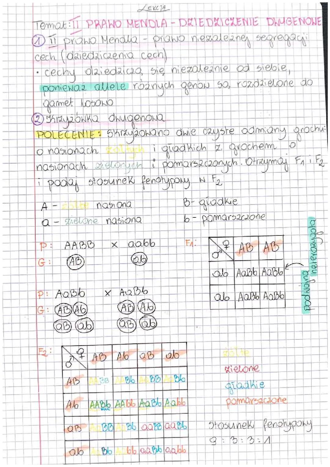 Dziedziczenie Dwugenowe - II Prawo Mendla