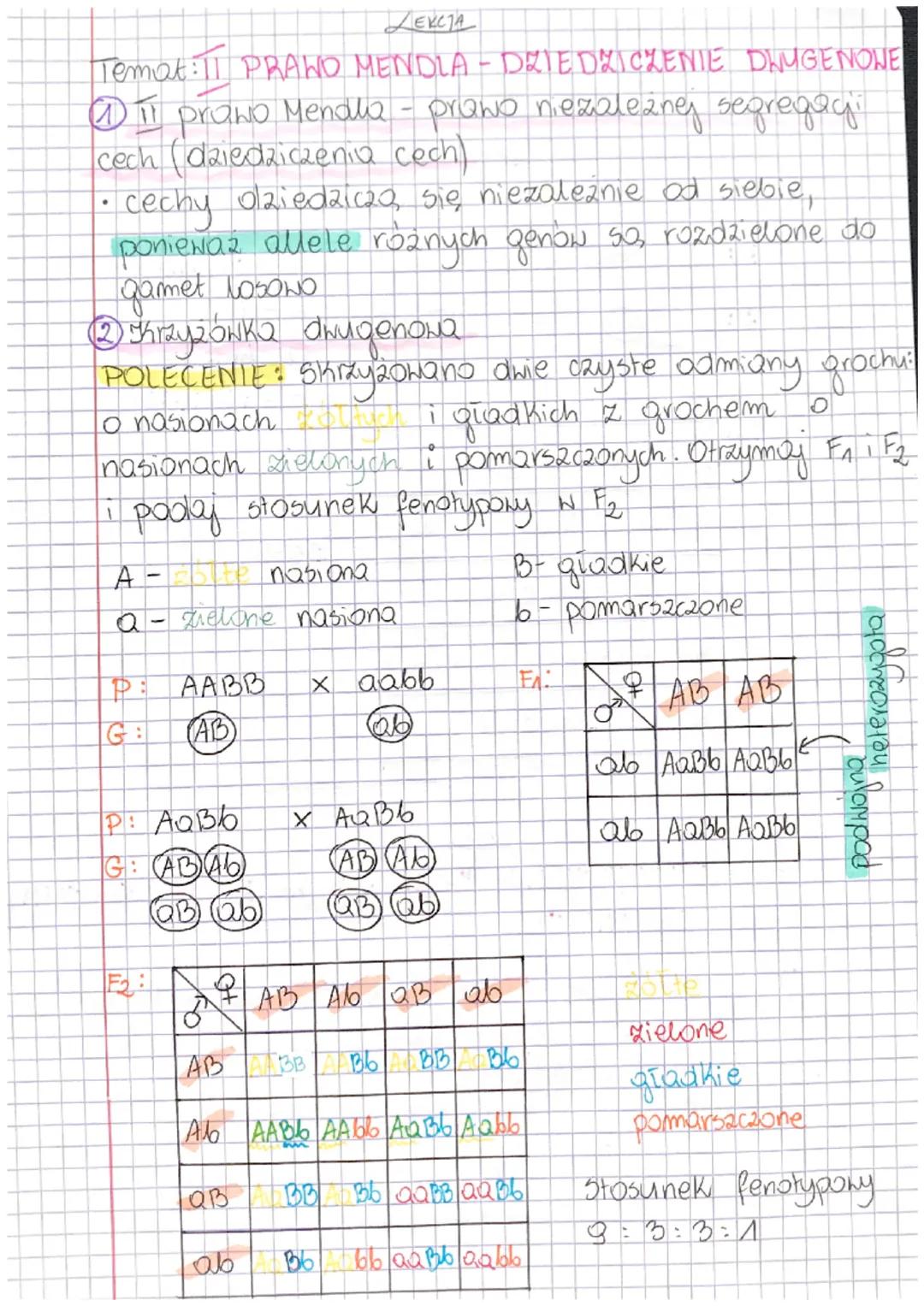 Temat: IT PRAND
MENDLA-DZIEDZICZENIE DWUGENOWE
(1) IT prawo Mendla - prawo niezależnej segregayi
cech dziedziczenia cech).
• cechy dziedzicz