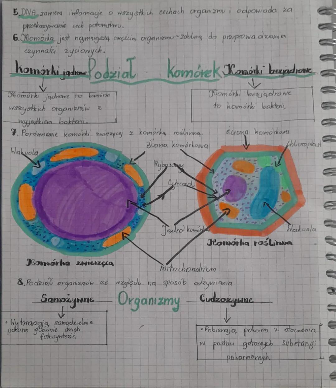--- OCR Start ---
Biologia → Budowa i czynności życiowe organizmów
podsumowanie
1. Podstawowymi substancjami, które budują organizmy, są pie