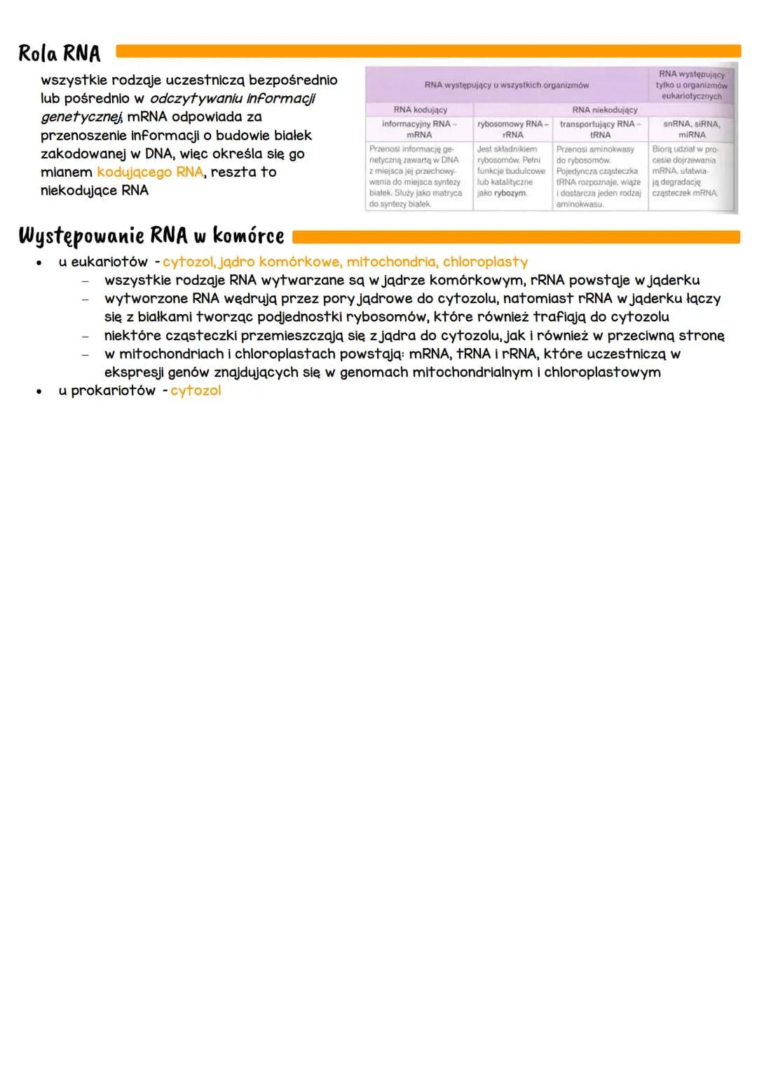Budowa i Funkcje DNA i RNA: Prosta Ściąga dla 10-latków