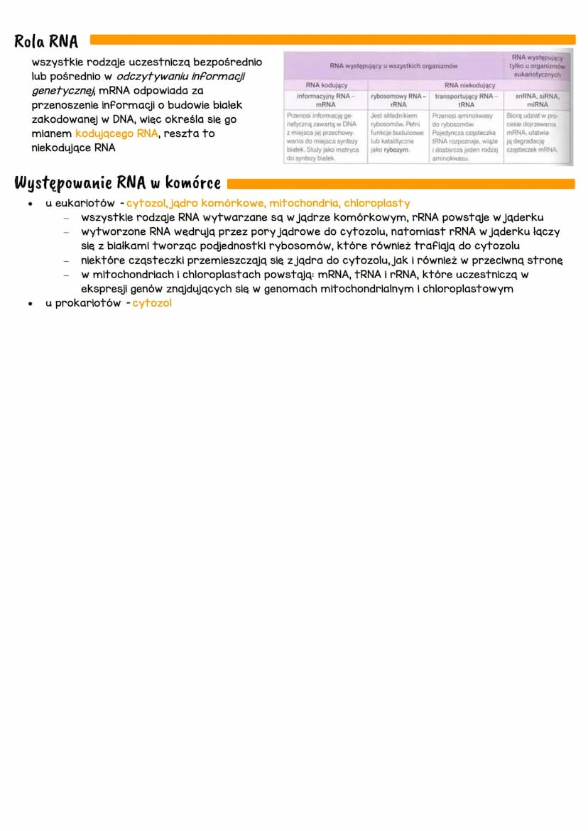 Budowa i rola kwasów nukleinowych
W komórkach występują dwa rodzaje kwasów nukleinowych: DNA i RNA. Ich cząsteczki są polimerami
składają si