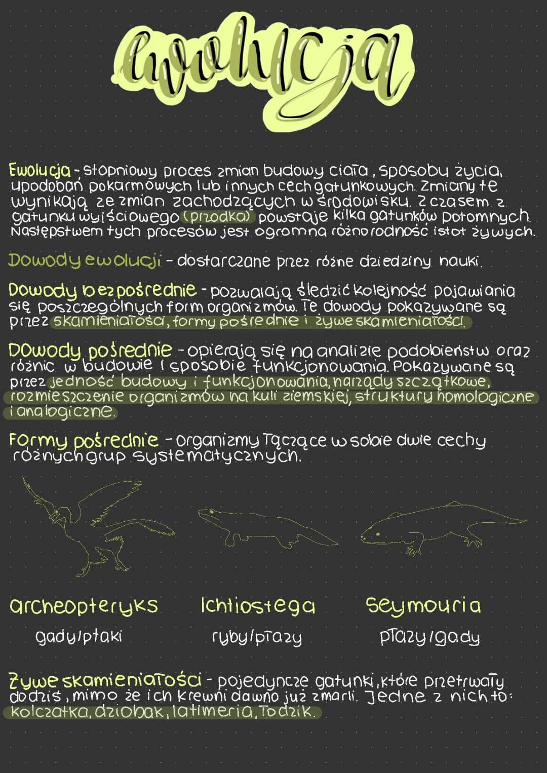 Ewolucja klasa 8
