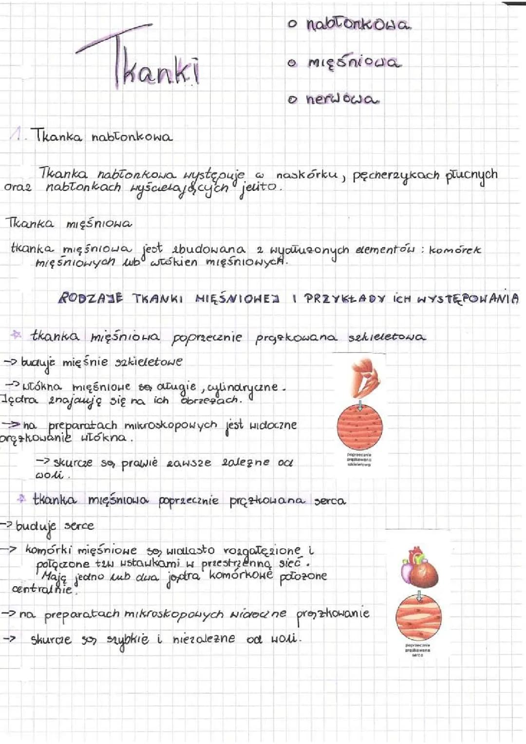 Tkanki (nabłonkowa, mięśniowa, nerwowa),tkanki łączne 