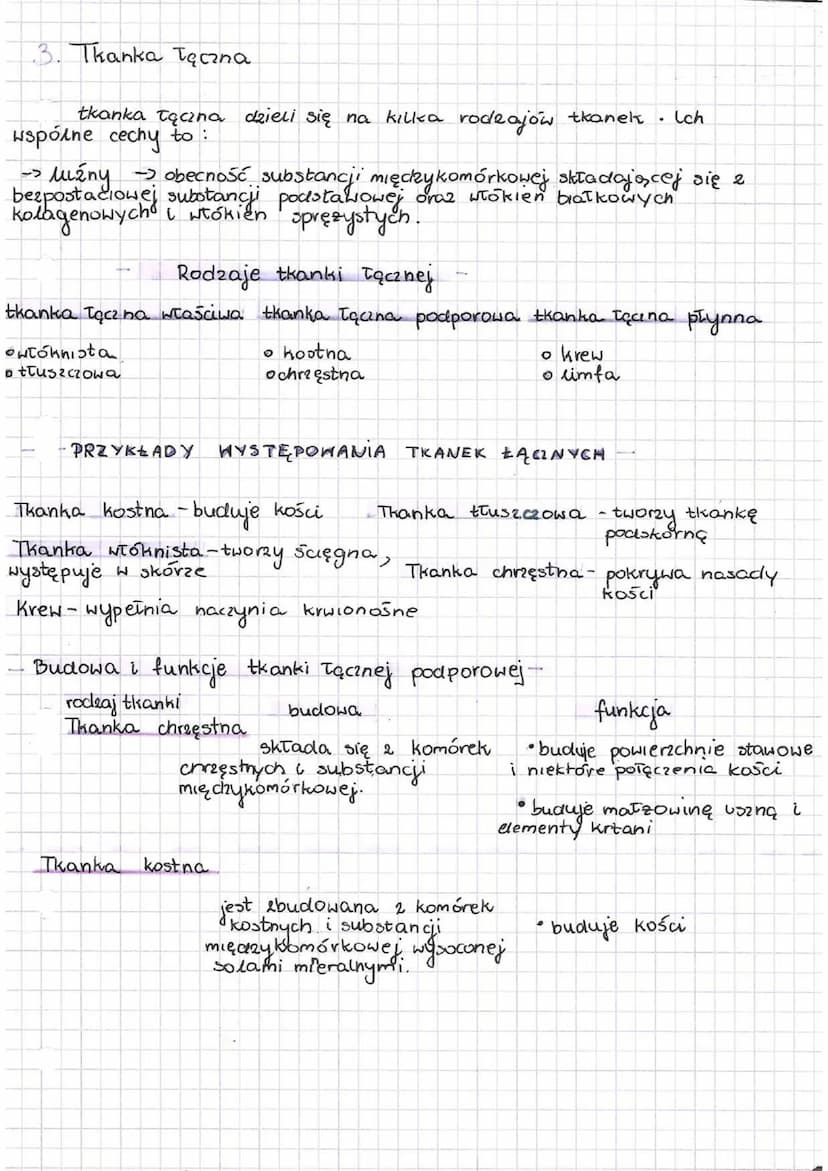 M.Tkanka nabłonkowa
ora2
kanki
o nabłonkowa
o mięśniowa
4
• nerwowa
Tkanka nabłonkowa występuje. w naskórku, pęcherzykach płucnych
nabłonkac