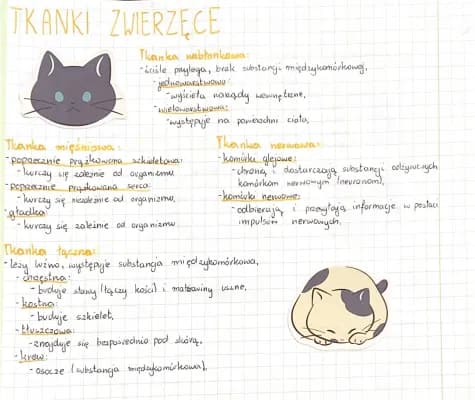 Know Tkanki zwierzęce thumbnail