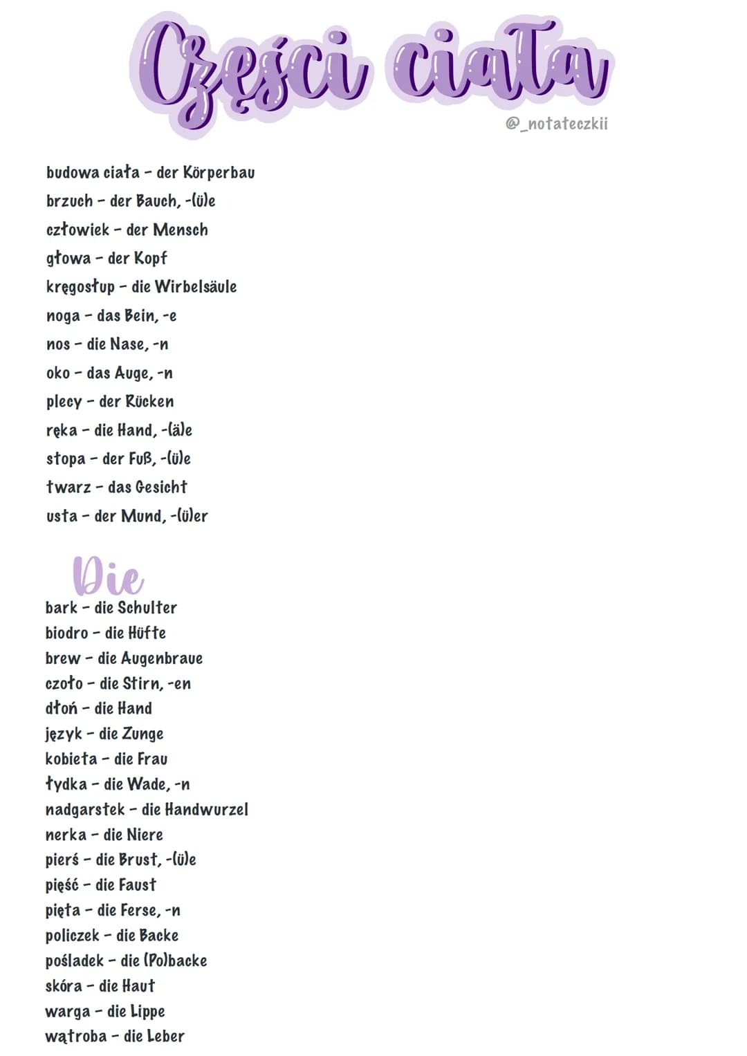 <h2 id="krperteileundkrperteilungen">Körperteile und Körperteilungen</h2>
<p>Hier finden Sie eine Liste von verschiedenen Körperteilen und d