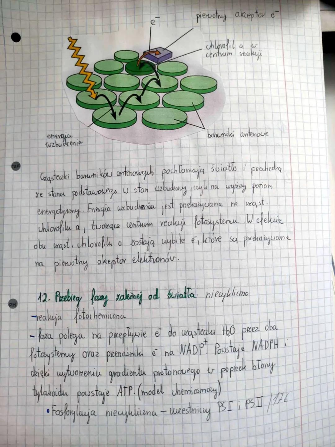T: Autotroficzne odżywianie się organizmów-
lotosynteza.
1: Pokarm i jego znamenie dla organismów.
- Svidlto energii niezbędnej do funkyonow