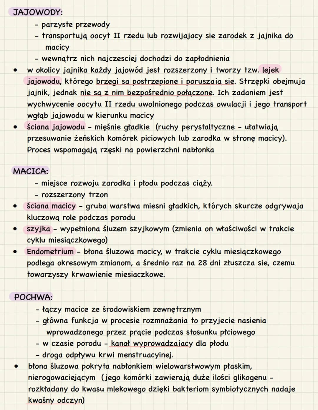 3. Budowa i funkcje żeńskich narządów
rozrodczych
1. Funkcje:
● produkcja oocytów II rzędu
stworzenie w trakcie ciąży warunków do rozwoju za