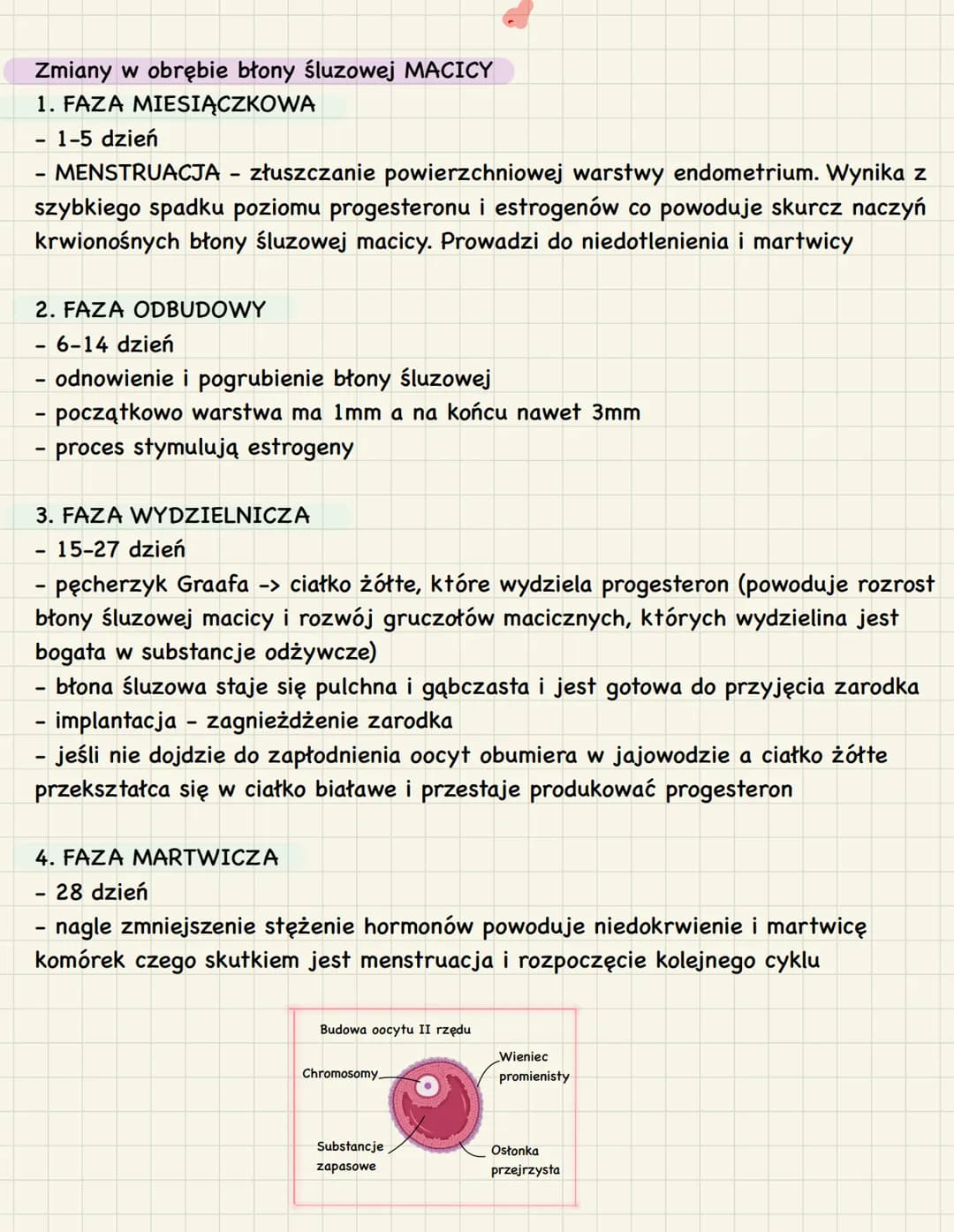 3. Budowa i funkcje żeńskich narządów
rozrodczych
1. Funkcje:
● produkcja oocytów II rzędu
stworzenie w trakcie ciąży warunków do rozwoju za