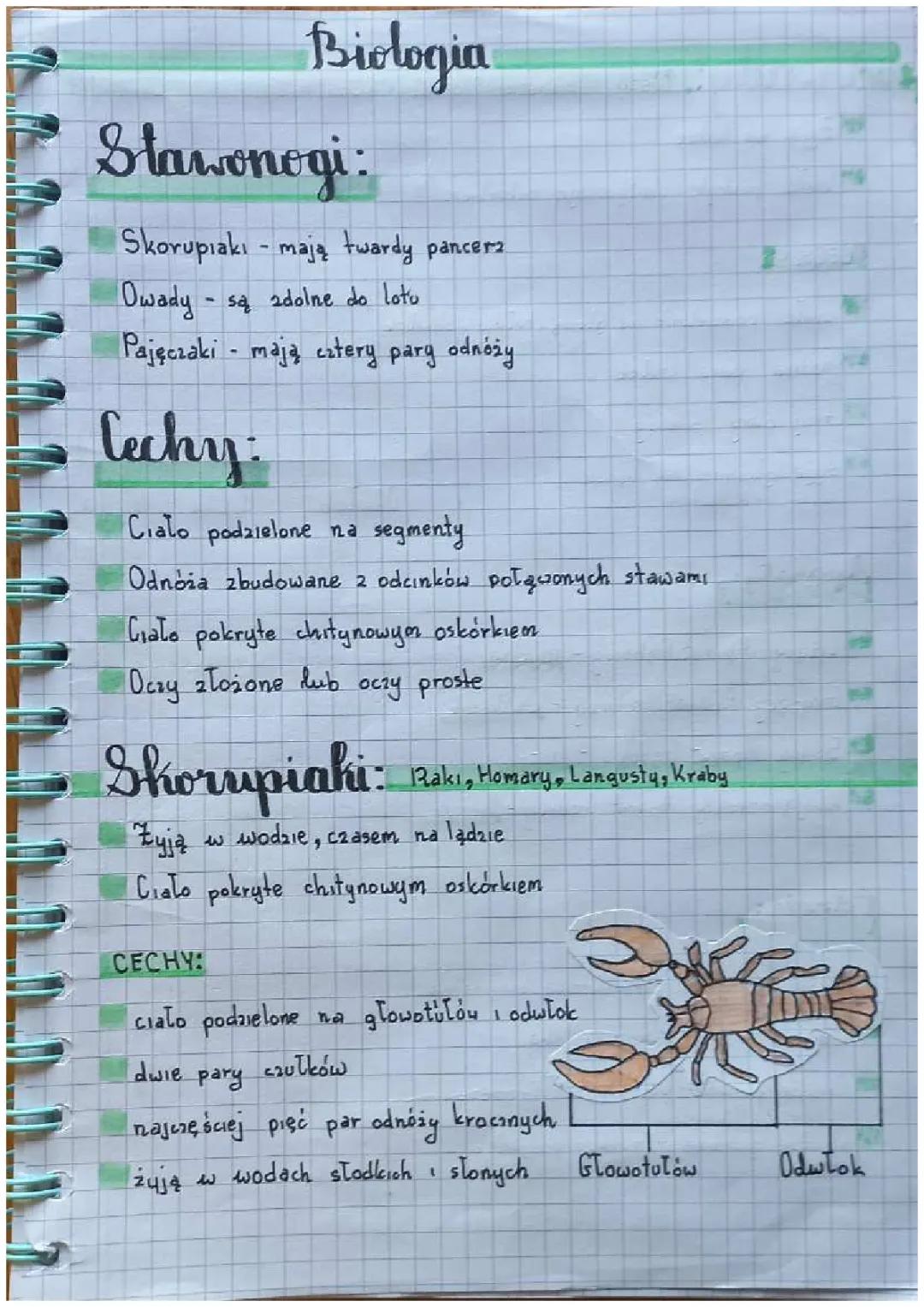 Biologia (Stawonogi i Mięczaki)