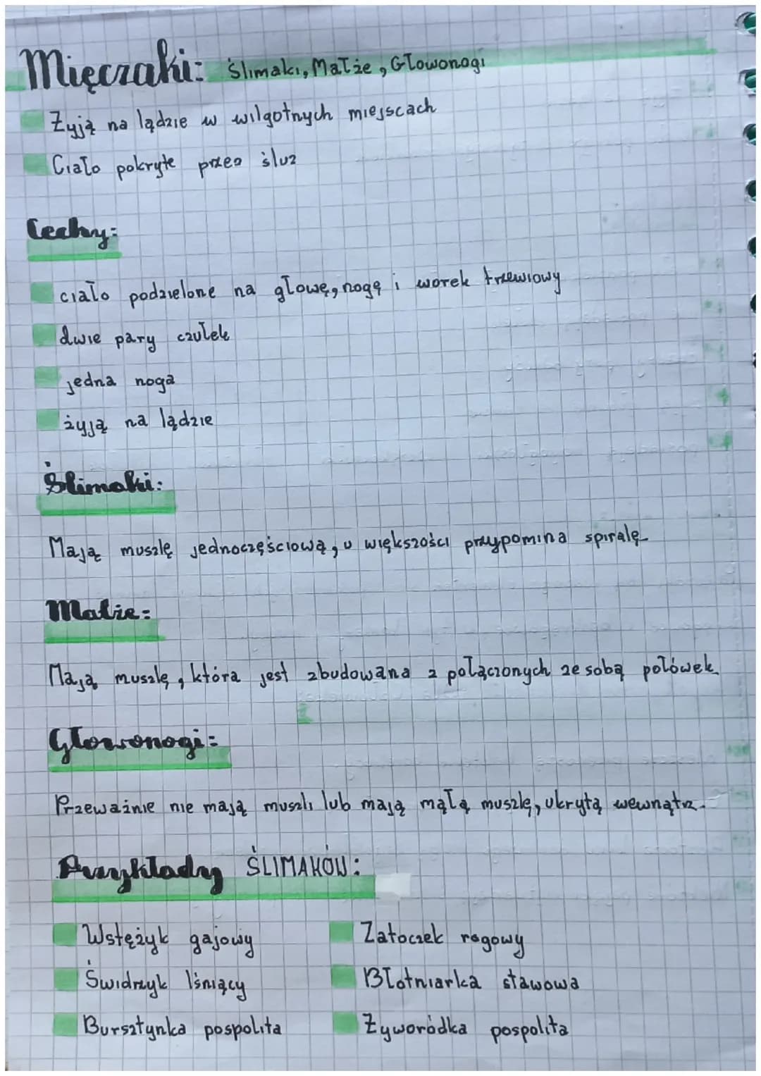 Biologia
Slawonogi:
Skorupiaki - mają twardy pancerz
Owady - są zdolne do lotu
Pajęczaki mają catery pary odnoży
Cechy:
Cialo podzielone na 