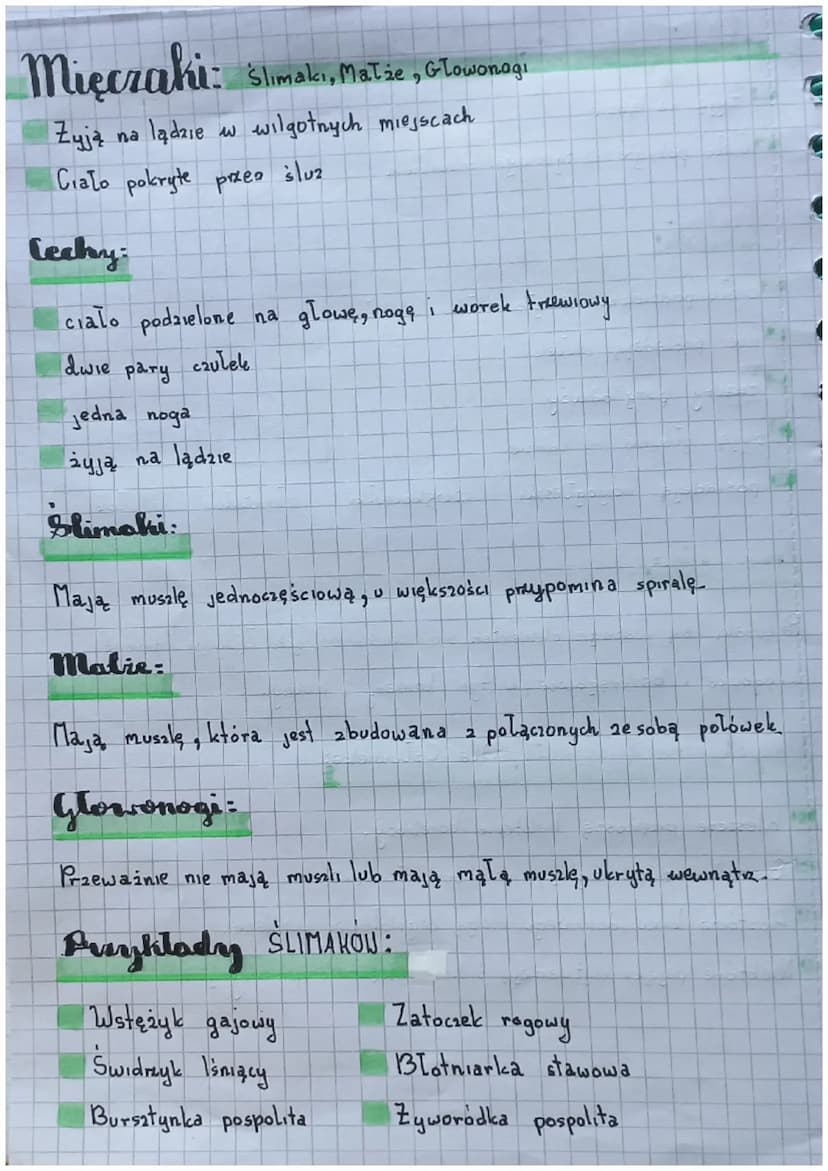Biologia
Slawonogi:
Skorupiaki - mają twardy pancerz
Owady - są zdolne do lotu
Pajęczaki mają catery pary odnoży
Cechy:
Cialo podzielone na 