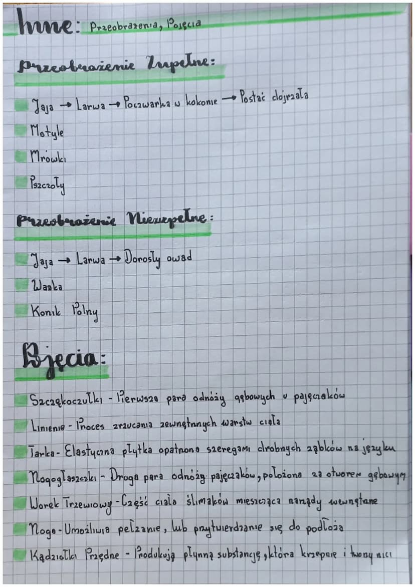 Biologia
Slawonogi:
Skorupiaki - mają twardy pancerz
Owady - są zdolne do lotu
Pajęczaki mają catery pary odnoży
Cechy:
Cialo podzielone na 