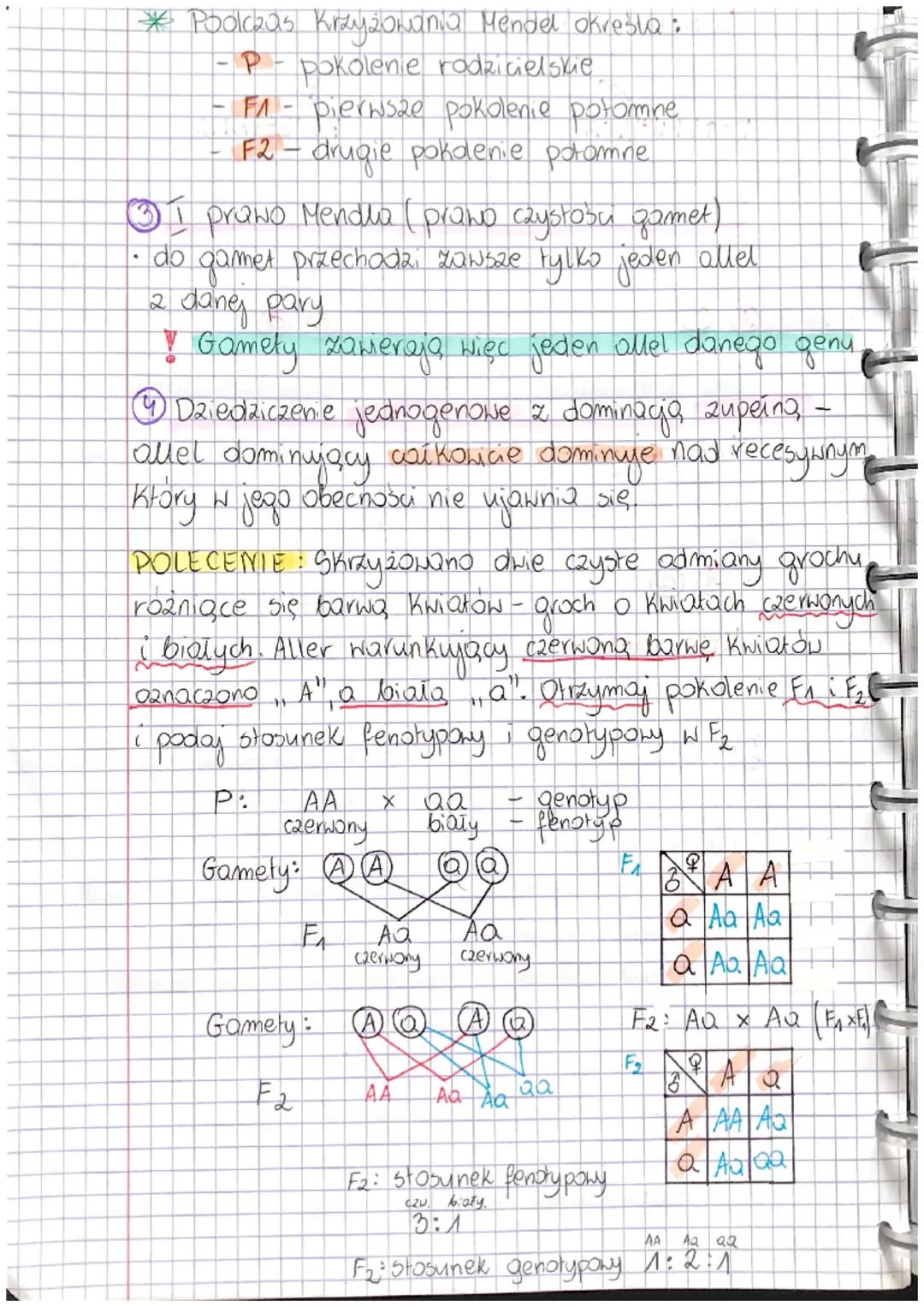 ZENCJA
Temat: PODSTAWOWE ZASADY DZIEDZICZENIA.
Podstawowe pojęcia genetyki Klasycznej
gen- podstawowa jednostka dziedziczenia. Pojedynczy
fr