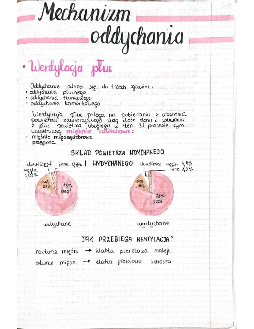 Mechanizm oddychania 