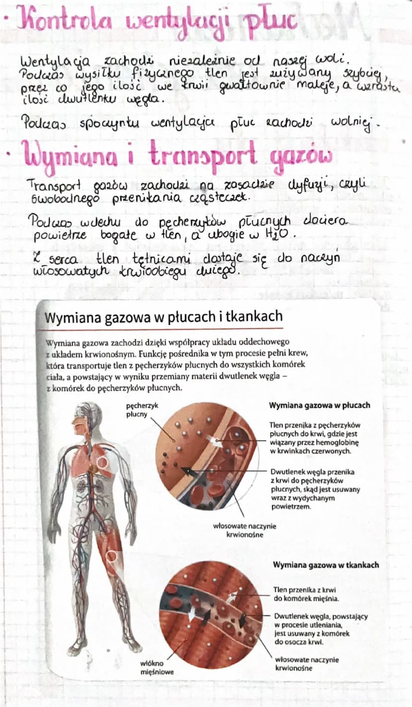 Mechanizm
oddychania
• Wentylacja płuc
·
•
Oddychanie odnosi się do trzech zjawisk:
• oddychania płucnego
oddychania tkankowego
oddychania k