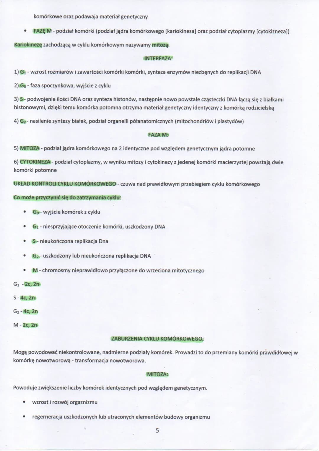 
<p>Cykl komórkowy to ogół procesów prowadzących do wzrostu i podziału komórki eukariotycznej. Składa się z dwóch głównych etapów: interfazy