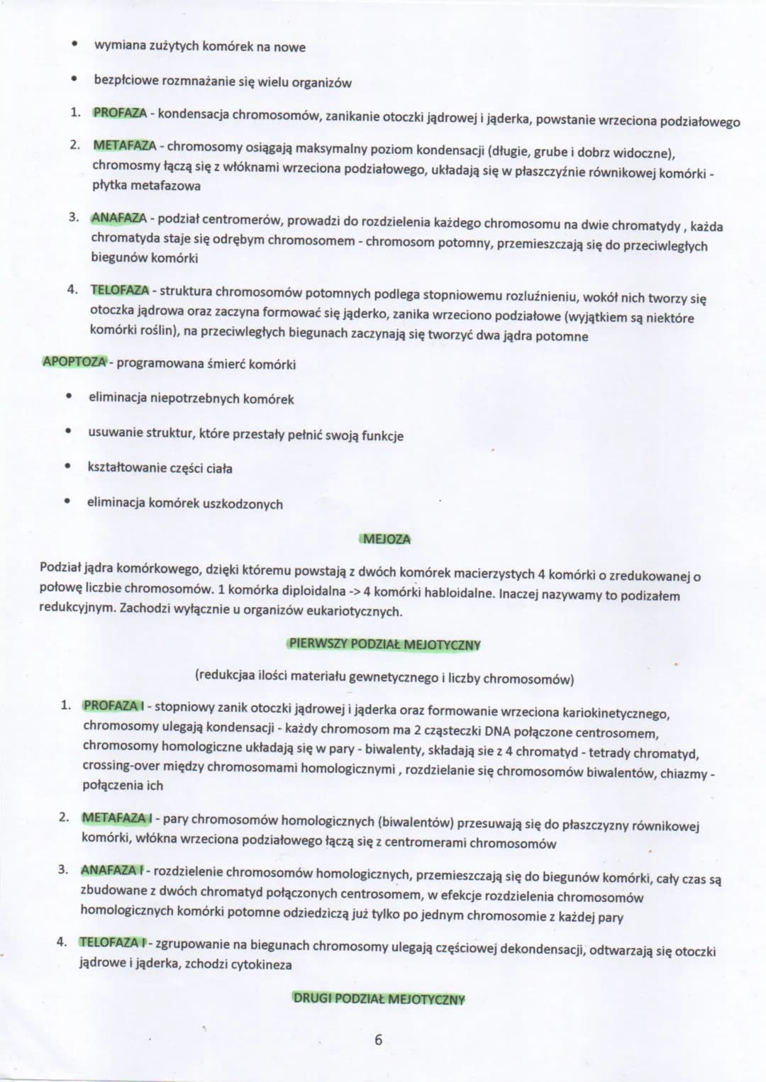 
<p>Cykl komórkowy to ogół procesów prowadzących do wzrostu i podziału komórki eukariotycznej. Składa się z dwóch głównych etapów: interfazy