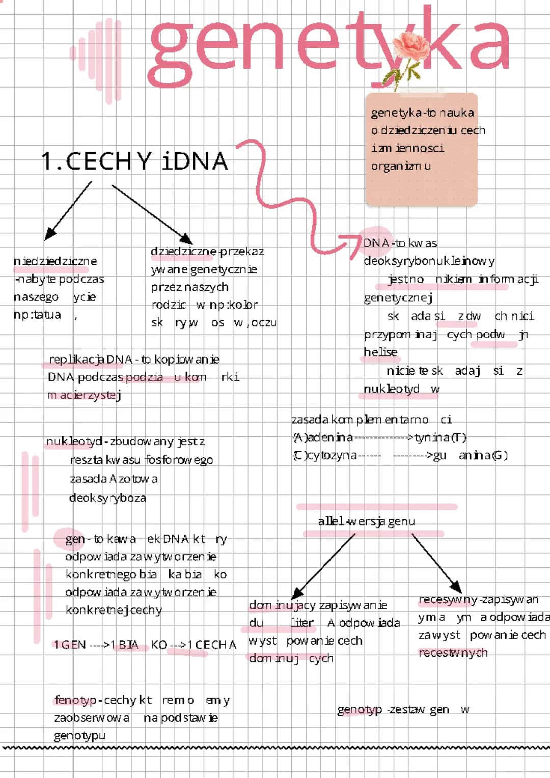 genetyka 