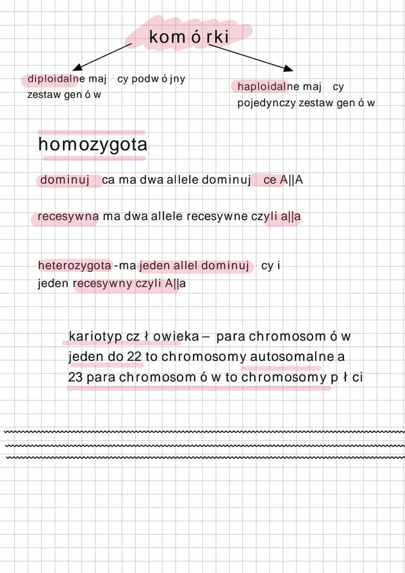 genetyka
1. CECHY i DNA
niedziedziczne
-nabyte podczas
naszego ycie
np:tatua
dziedziczne-przekaz
ywane genetycznie
przez naszych
rodzicó w n