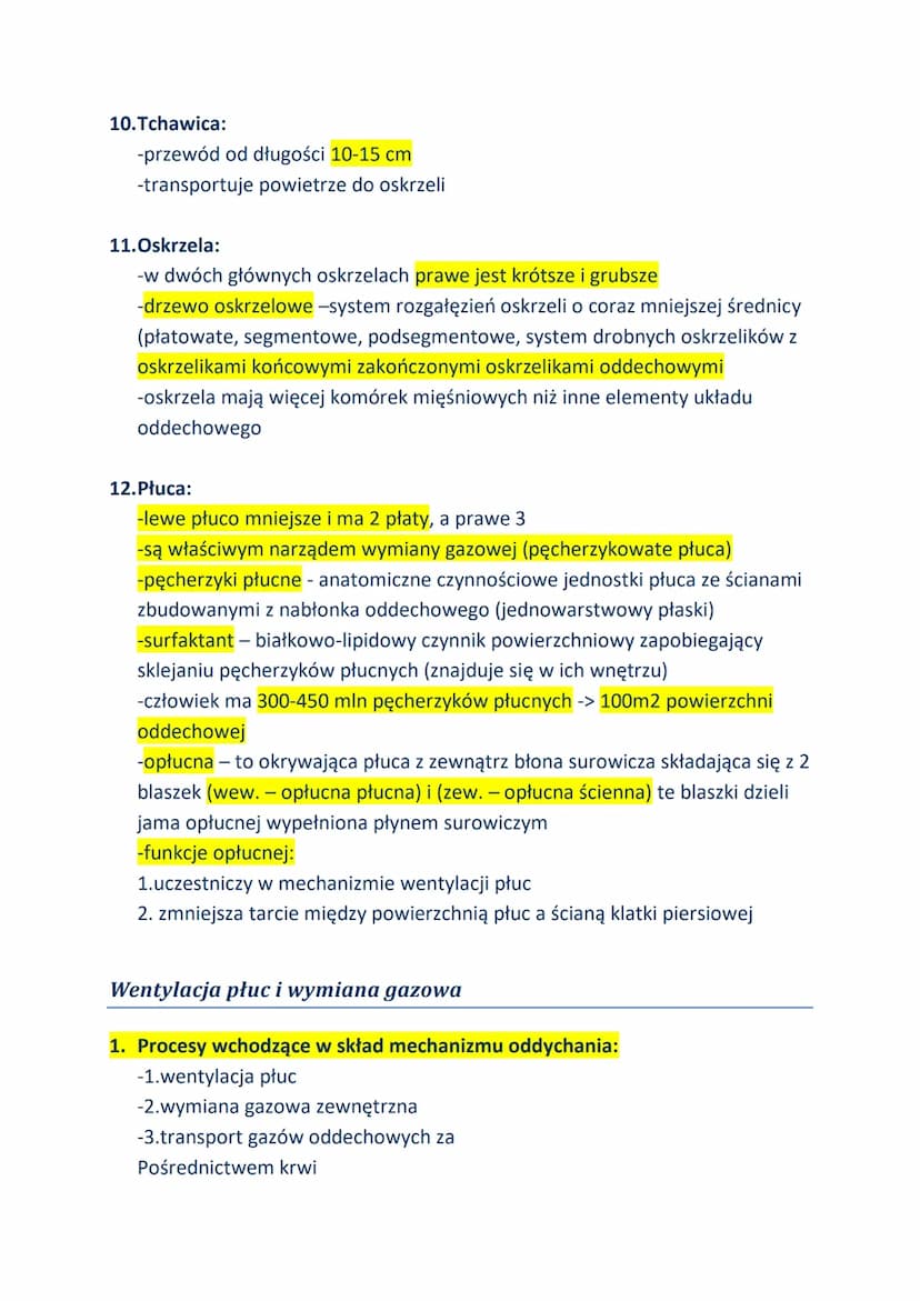 Budowa i funkcje układu oddechowego
1. Oddychanie - podstawowy, kataboliczny proces którego substratem jest
glukoza, polegający na utleniani