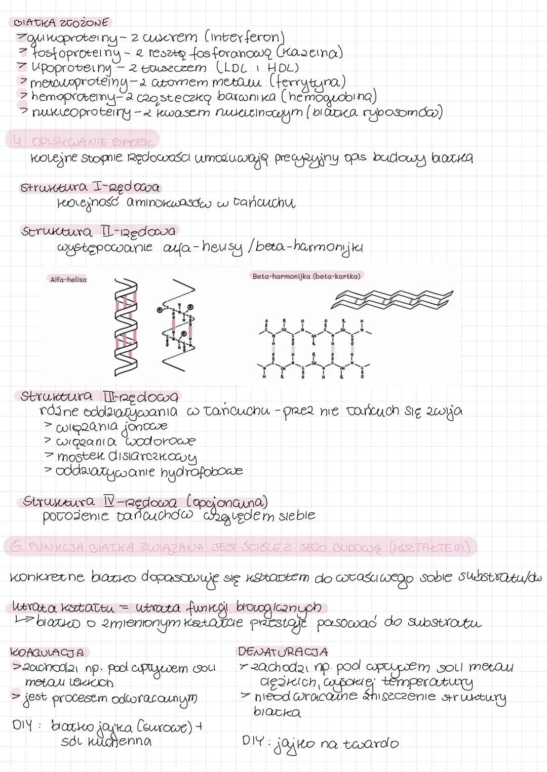 -BLACK A
>na biarkach opiera się funkcjonowanie wszystkich organizmów
> stanowią podstawę budowy organizmu → DNA-zawiera tylted informacje
o