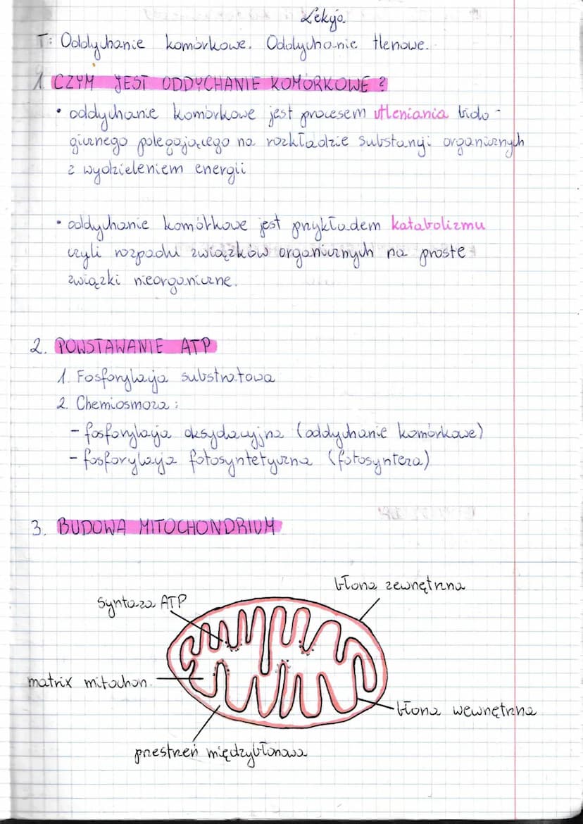 T:
1 x Lekija
Oddychanie
juhanie komórkowe. Odolycho-nie tlenowe..
CZYM JEST ODDYCHANIE KOMORKOWE ?
• oddychanie komorkowe jest procesem utl