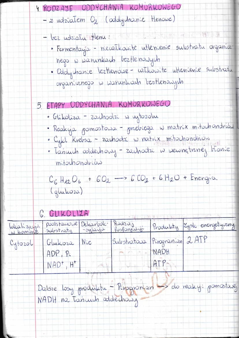 T:
1 x Lekija
Oddychanie
juhanie komórkowe. Odolycho-nie tlenowe..
CZYM JEST ODDYCHANIE KOMORKOWE ?
• oddychanie komorkowe jest procesem utl